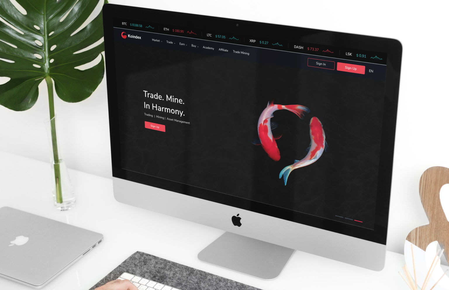 Notes on withdrawing ETH and ERC tokens (ETH, USDT, XEX) – Help Center